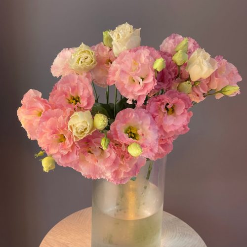 Эустома розовая